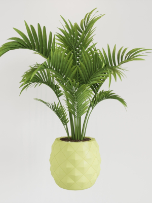 pineapple pot