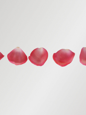 pink-rose-petals-3d-model-dcef72c4cf