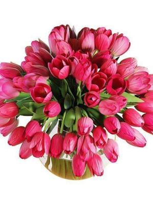 pink-tulips-3d-model-max-obj-fbx