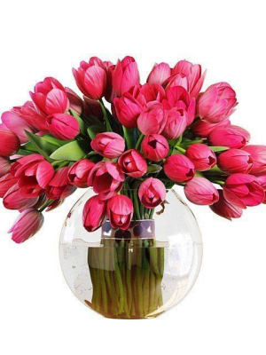 Pink tulips