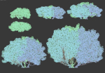 Pinus mugo Nr2 H60-260 cm Six tree set