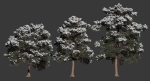 Pinus sylvestris Nr7 H7-10m Winter Three tree set