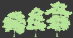 Pinus sylvestris Nr7 H7-10m Winter Three tree set