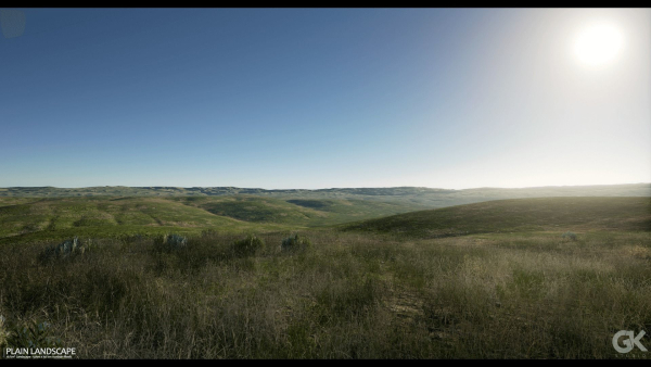 Plain Landscape