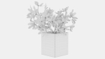 Plant 35