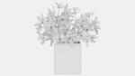Plant 35