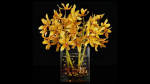 Plant 35