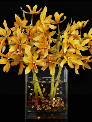 Plant 35