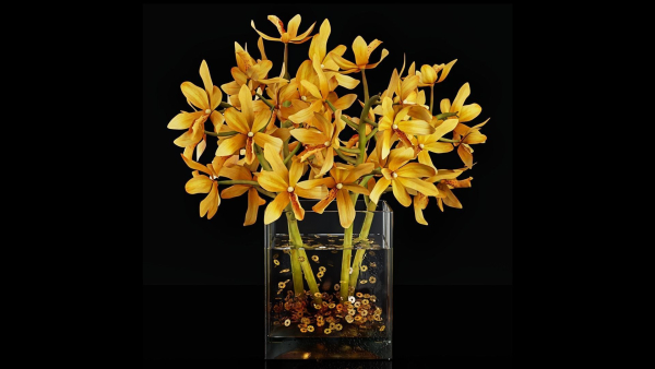 Plant 35