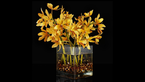Plant 35