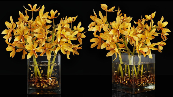 Plant 35