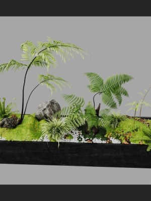 plant