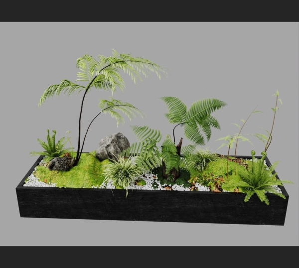 plant