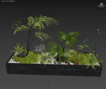 plant