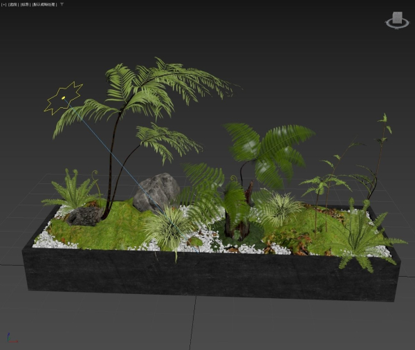 plant
