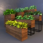 Plant wooden planter with different plants