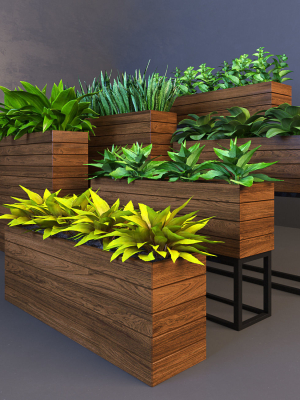 plant-3d-model-rigged-max-obj-fbx-stl