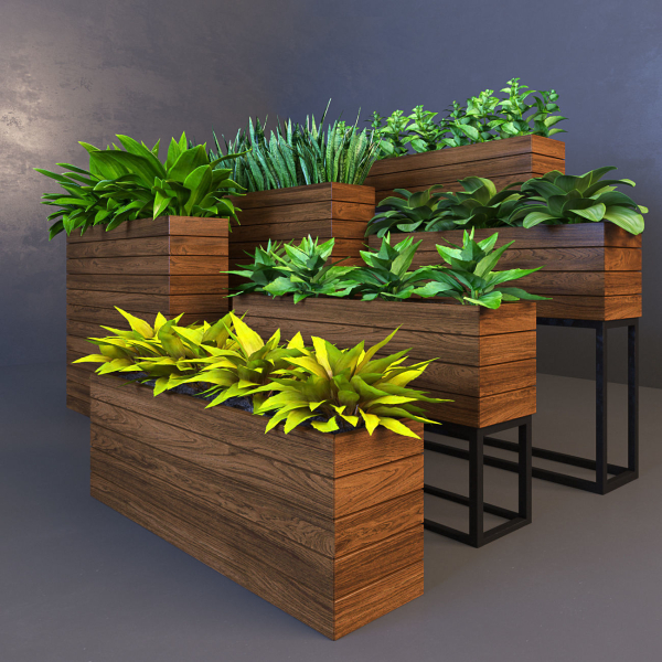 Plant wooden planter with different plants