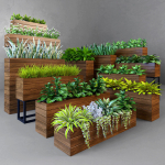 Plant wooden planter with different plants