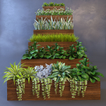 Plant wooden planter with different plants