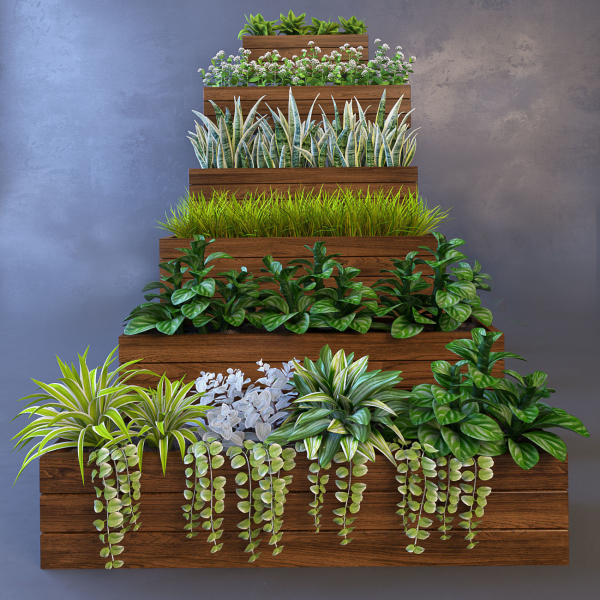 Plant wooden planter with different plants