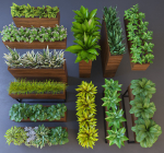 Plant wooden planter with different plants
