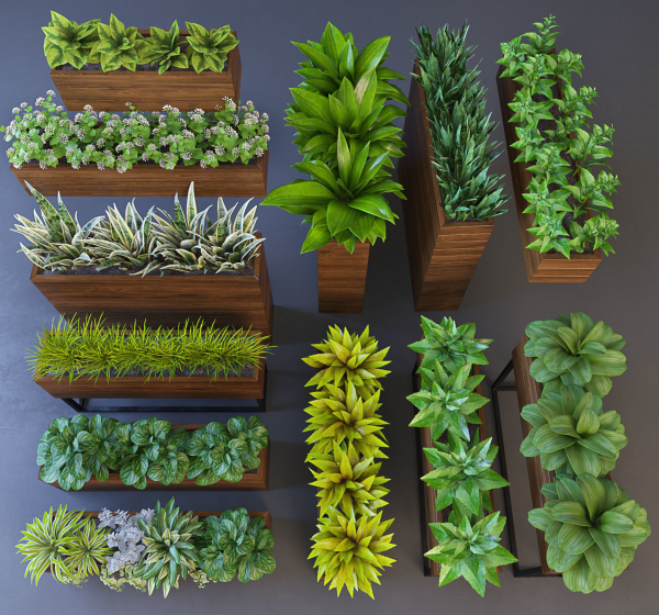 Plant wooden planter with different plants
