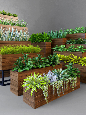 Plant wooden planter with different plants