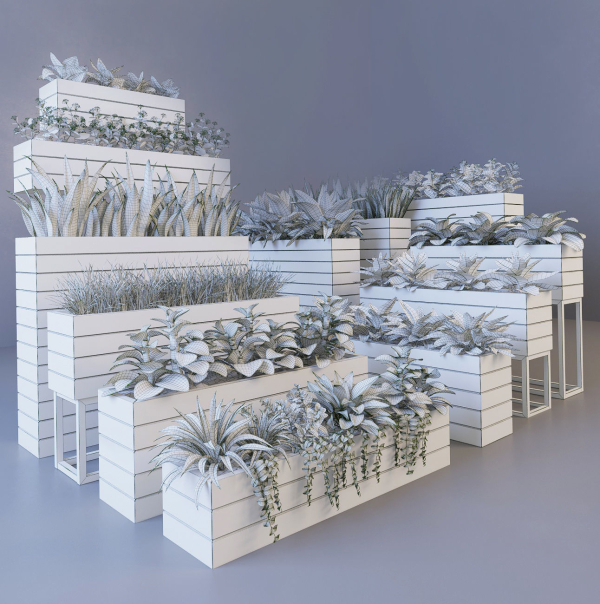 Plant wooden planter with different plants