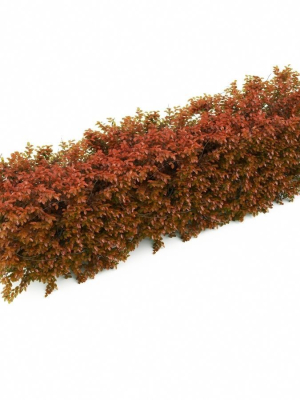 plant-42-3d-model-max