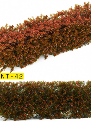 plant 42