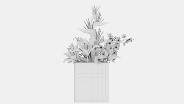 Plant 48