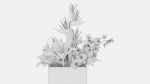 Plant 48