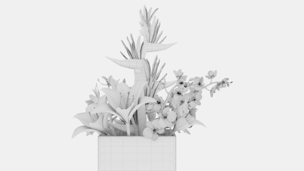 Plant 48