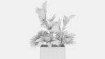 Plant 53