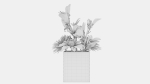 Plant 53