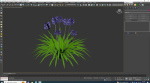 Plant  Agapanthus Africanus-dwarf-blue