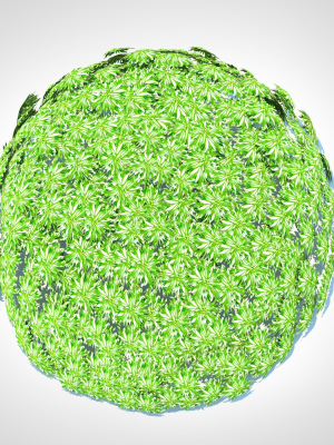 plant-artemesia-schmidtiana-silvermound-3d-model-cb4326e810