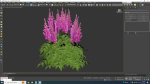 Plant  Astilbe-pink