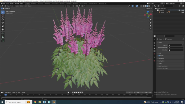 Plant  Astilbe-pink