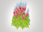Plant  Astilbe-red