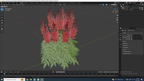 Plant  Astilbe-red