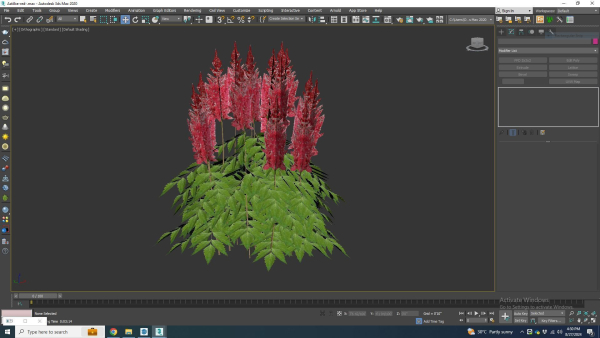 Plant  Astilbe-red