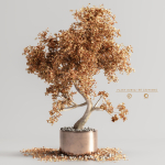 plant bonsai 08  Autumn
