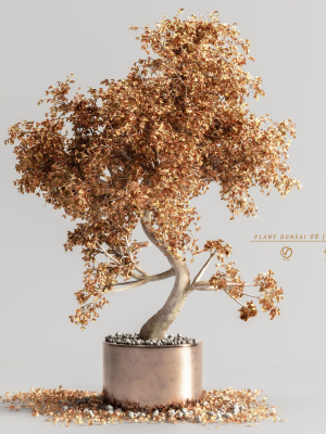 plant-bonsai-08-autumn-3d-model-d69b128bd3