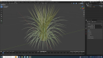 Plant  Carex morrowii-sedge