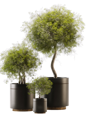 plant-collection-02-3d-model-4618df7f7f