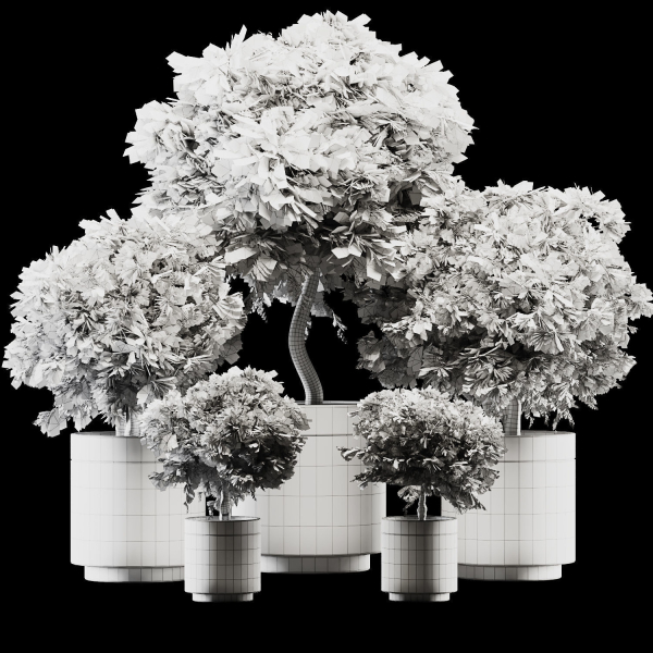 Plant Collection 02