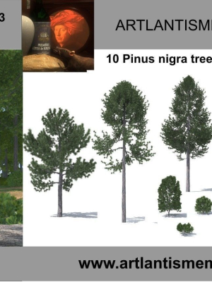 plant-collection-3d-models2-3d-model-obj-mtl-3ds-fbx-dwg-atl-atla-atlo