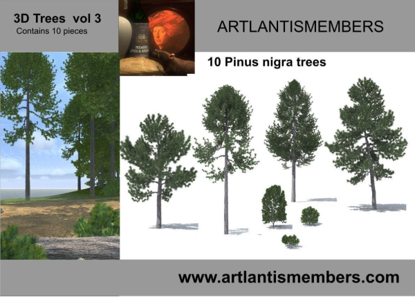 plant collection 3d models2